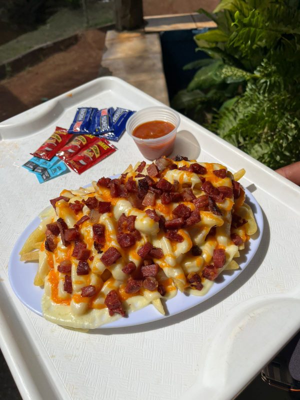 Porção de Batata Especial 600g