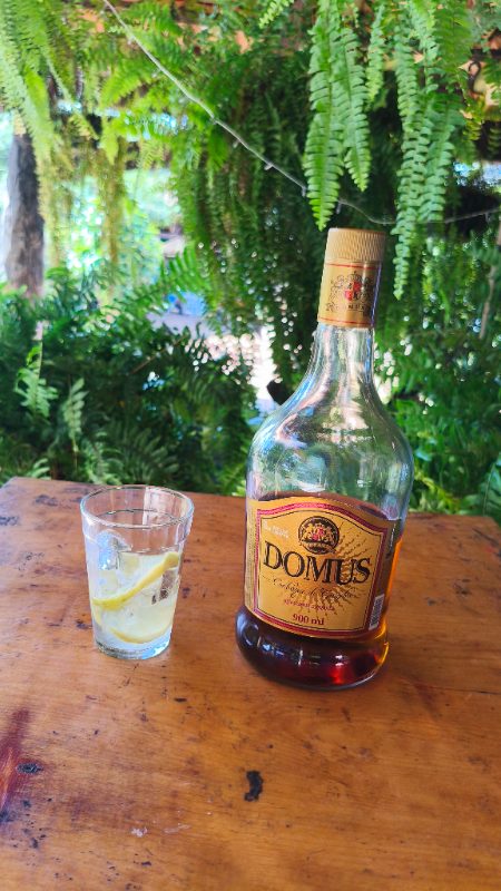 Domus
